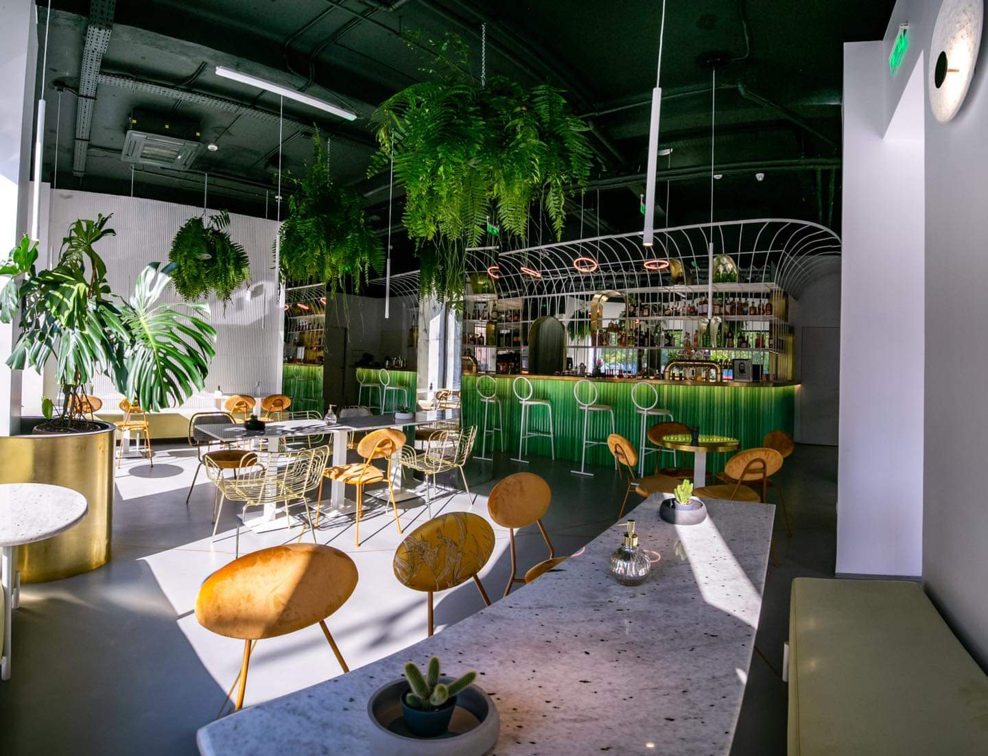 272246131_2066504303525586_4122385521996043532_n