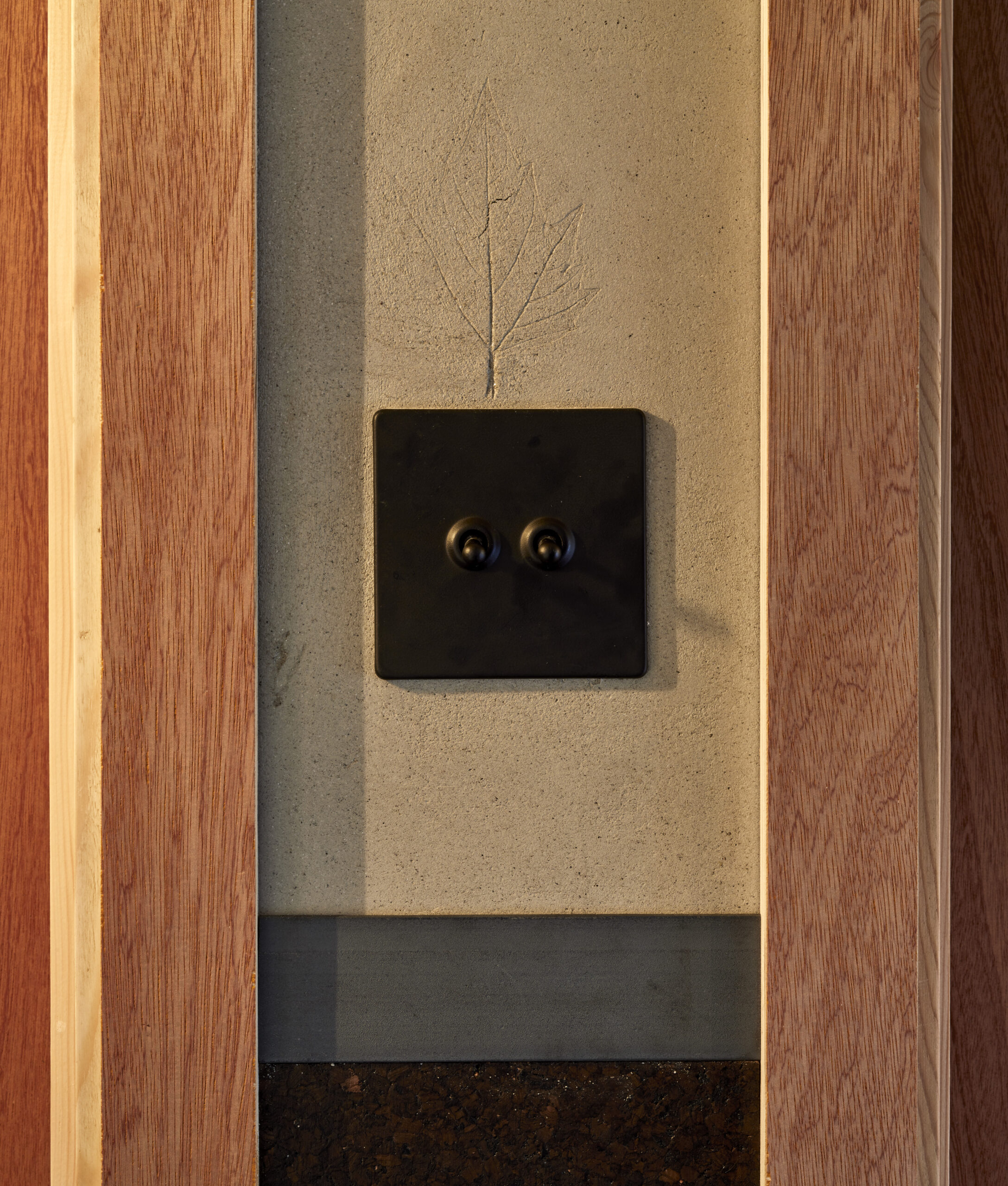 SAW-LEAF-©Edmund Sumner